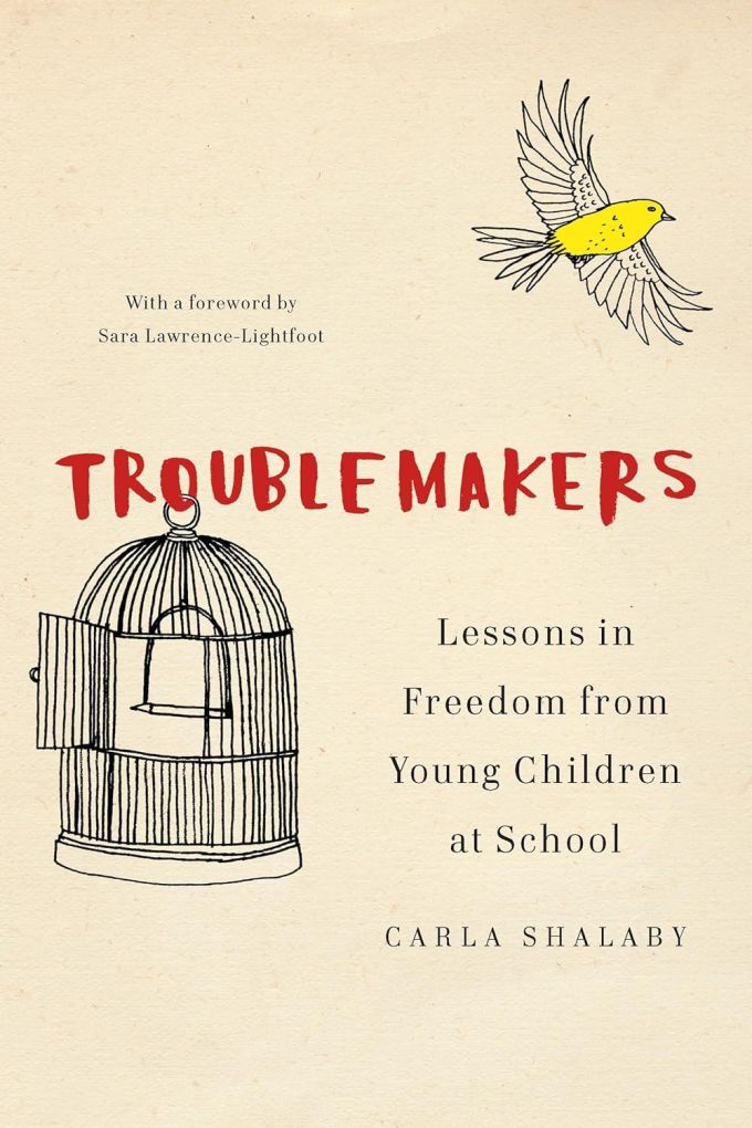 Troublemakers book cover